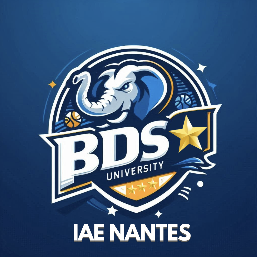 Logo BDS IAE Nantes